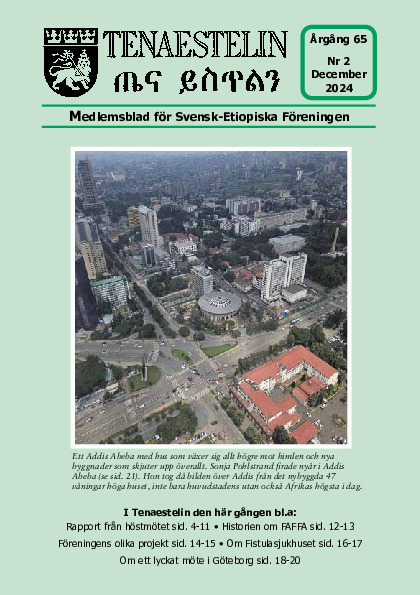 Tenaestelin 2024 nr 2.pdf