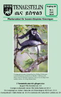 Tenaestelin 2024 nr 1.pdf