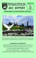 Tenaestelin 2022 nr 1.pdf